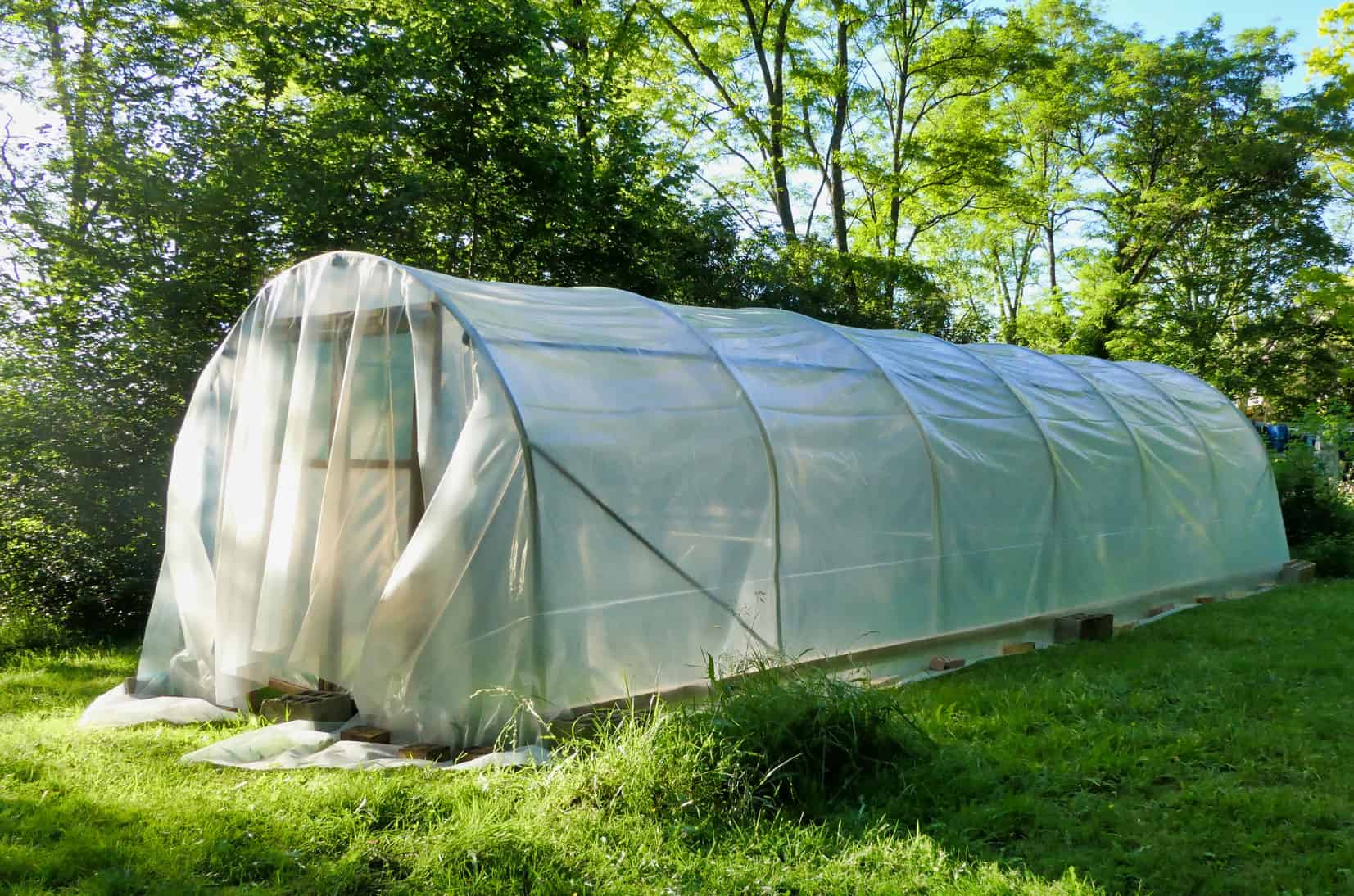 Polytunnel Rising For Newcomers * Big Weblog of Gardening