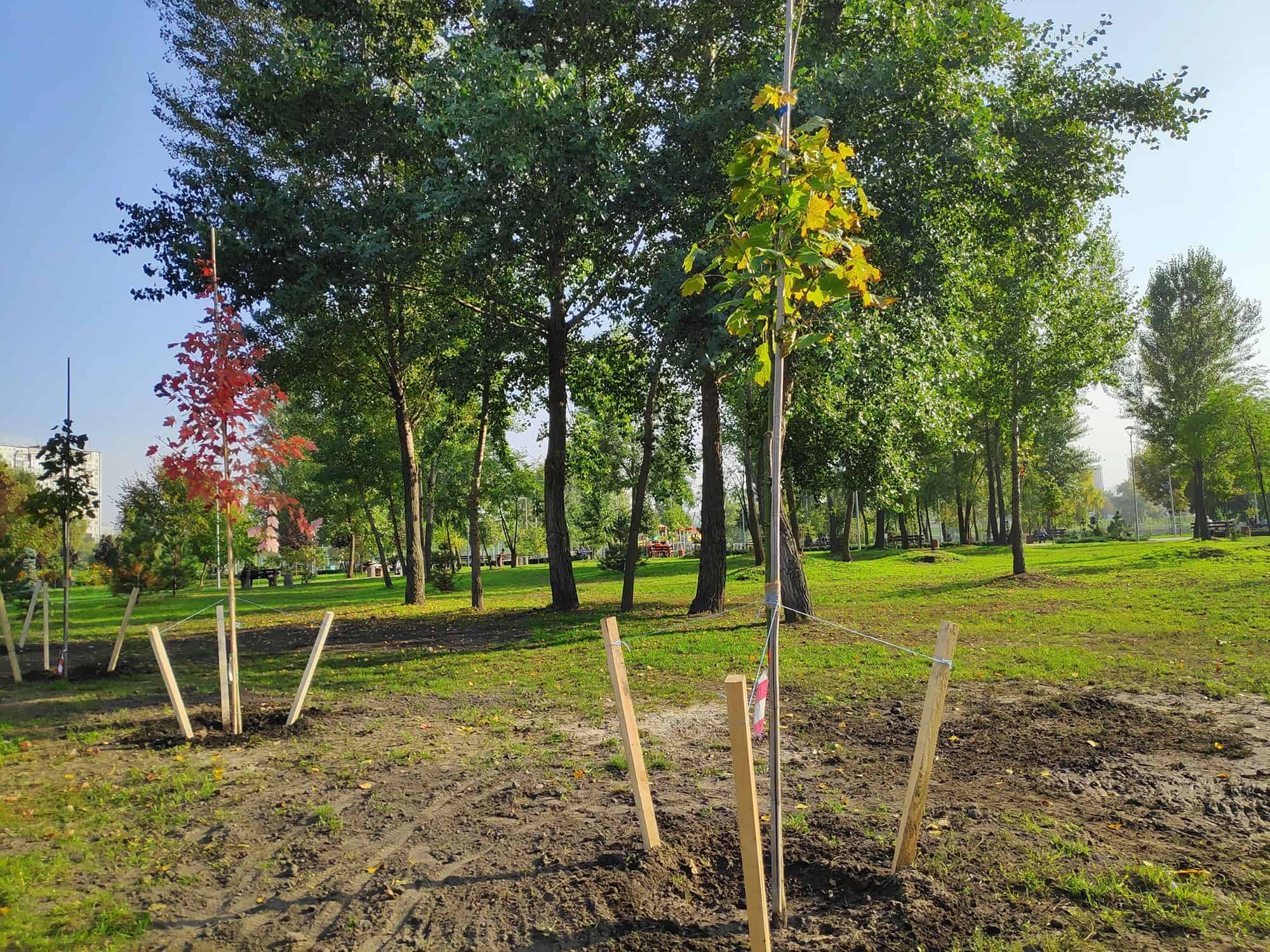 Staking a Tree Is Nearly Definitely not The Right Situation To Do * Giant Weblog of Gardening